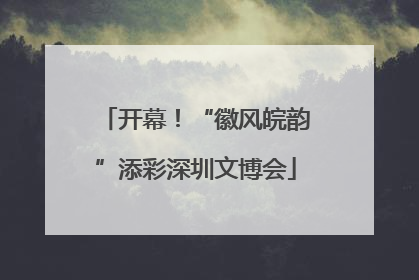 开幕！“徽风皖韵”添彩深圳文博会