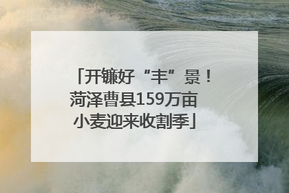 开镰好“丰”景！菏泽曹县159万亩小麦迎来收割季