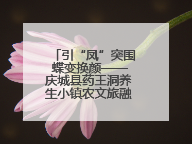 引“凤”突围 蝶变换颜——庆城县药王洞养生小镇农文旅融合发展纪实
