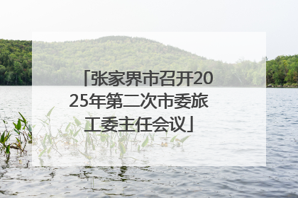 张家界市召开2025年第二次市委旅工委主任会议