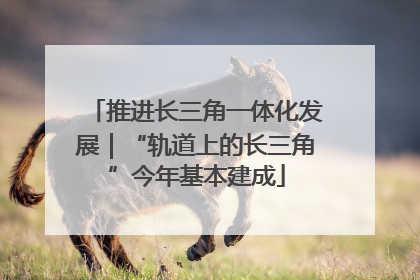 推进长三角一体化发展｜“轨道上的长三角”今年基本建成
