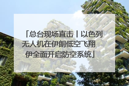 总台现场直击丨以色列无人机在伊朗低空飞翔 伊全面开启防空系统