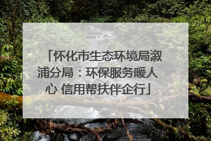 怀化市生态环境局溆浦分局：环保服务暖人心 信用帮扶伴企行