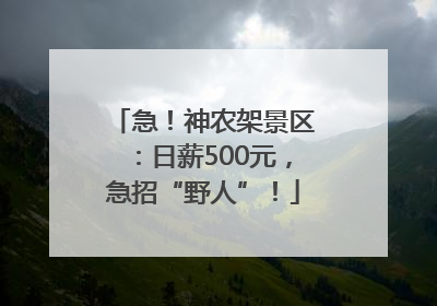 急！神农架景区：日薪500元，急招“野人”！