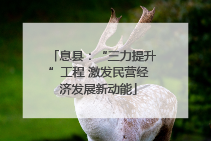 息县：“三力提升”工程 激发民营经济发展新动能