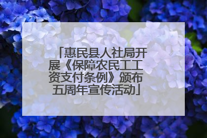 惠民县人社局开展《保障农民工工资支付条例》颁布五周年宣传活动