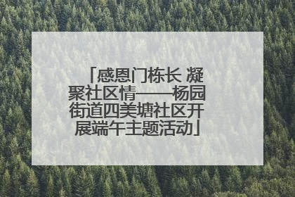 感恩门栋长 凝聚社区情——杨园街道四美塘社区开展端午主题活动