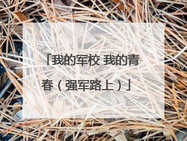我的军校 我的青春（强军路上）
