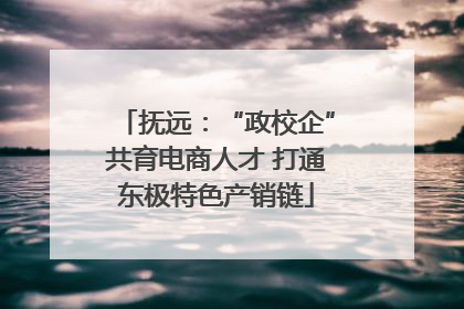 抚远：“政校企”共育电商人才 打通东极特色产销链