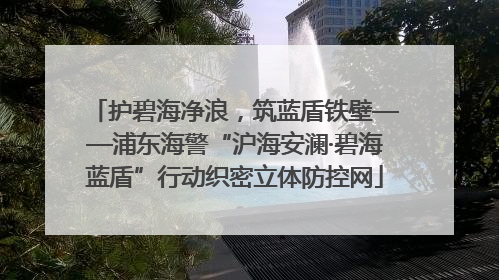 护碧海净浪，筑蓝盾铁壁——浦东海警“沪海安澜·碧海蓝盾”行动织密立体防控网