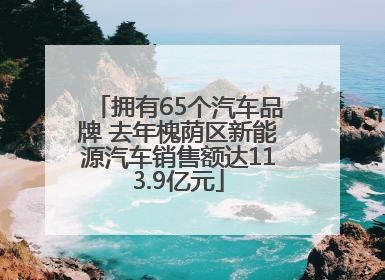 拥有65个汽车品牌 去年槐荫区新能源汽车销售额达113.9亿元