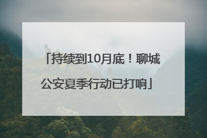 持续到10月底！聊城公安夏季行动已打响