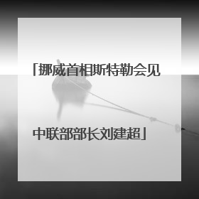 挪威首相斯特勒会见中联部部长刘建超