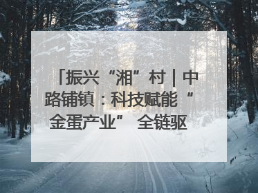 振兴“湘”村｜中路铺镇：科技赋能“金蛋产业” 全链驱动乡村振兴
