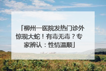 柳州一医院发热门诊外惊现大蛇！有毒无毒？专家辨认：性情温顺