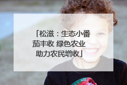 松滋：生态小番茄丰收 绿色农业助力农民增收
