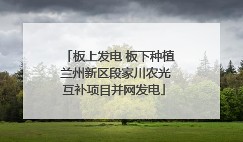 板上发电 板下种植 兰州新区段家川农光互补项目并网发电