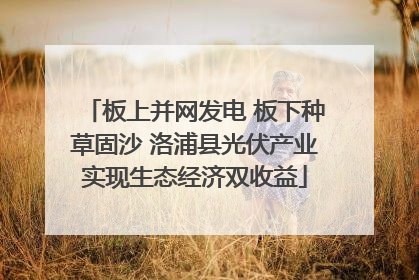 板上并网发电 板下种草固沙 洛浦县光伏产业实现生态经济双收益