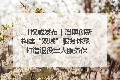 权威发布｜淄博创新构建“双域”服务体系 打造退役军人服务保障“淄博样板”