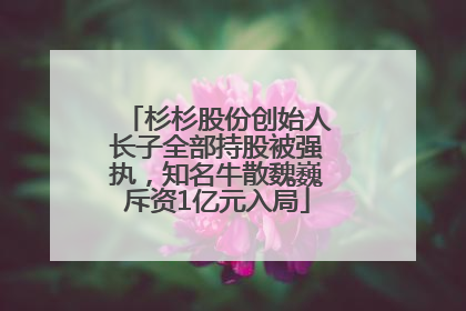 杉杉股份创始人长子全部持股被强执，知名牛散魏巍斥资1亿元入局