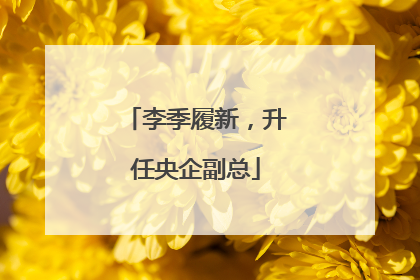 李季履新，升任央企副总