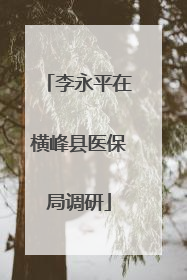 李永平在横峰县医保局调研