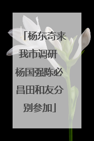 杨东奇来我市调研 杨国强陈必昌田和友分别参加