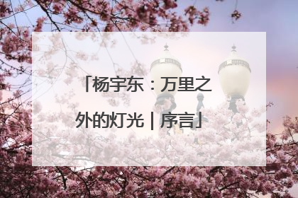 杨宇东：万里之外的灯光｜序言