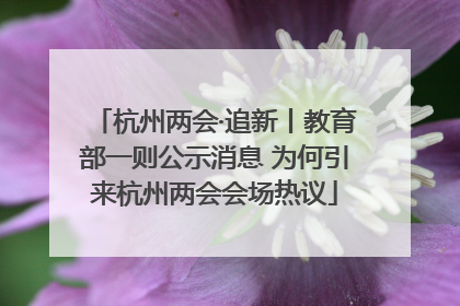 杭州两会·追新丨教育部一则公示消息 为何引来杭州两会会场热议