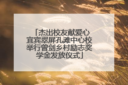 杰出校友献爱心 宜宾翠屏孔滩中心校举行曾剑乡村励志奖学金发放仪式