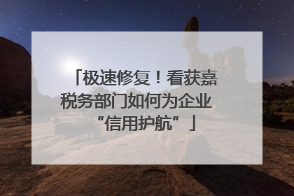 极速修复！看获嘉税务部门如何为企业“信用护航”