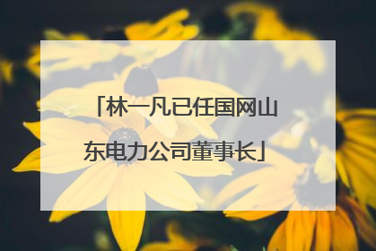 林一凡已任国网山东电力公司董事长