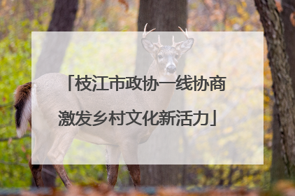枝江市政协一线协商激发乡村文化新活力