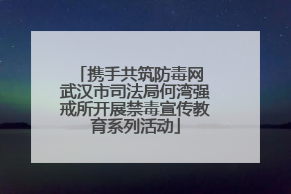 携手共筑防毒网 武汉市司法局何湾强戒所开展禁毒宣传教育系列活动