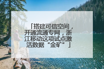 搭建可信空间，开通流通专网，浙江移动这项试点激活数据“金矿”
