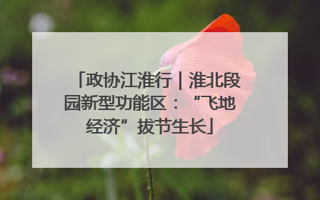 政协江淮行｜淮北段园新型功能区：“飞地经济”拔节生长