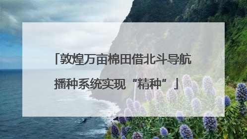 敦煌万亩棉田借北斗导航播种系统实现“精种”