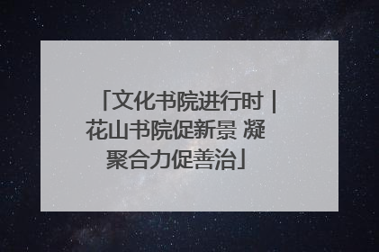 文化书院进行时｜花山书院促新景 凝聚合力促善治
