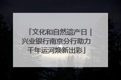 文化和自然遗产日｜兴业银行南京分行助力千年运河焕新出彩