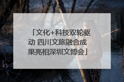 文化+科技双轮驱动 四川文旅融合成果亮相深圳文博会