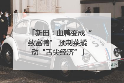 新田：血鸭变成“致富鸭” 预制菜撬动“舌尖经济”