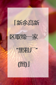 新余高新区取缔一家“黑鞋厂”(图)
