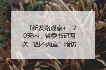 新发路观察+｜20天内，省委书记两次“四不两直”暗访，有何深意？