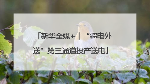 新华全媒+｜“疆电外送”第三通道投产送电