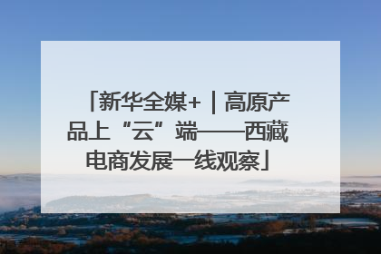 新华全媒+｜高原产品上“云”端——西藏电商发展一线观察