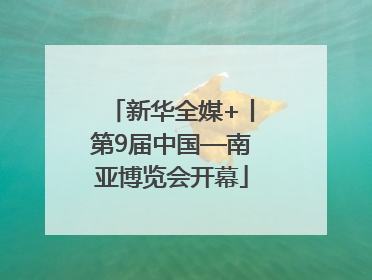 新华全媒+丨第9届中国—南亚博览会开幕