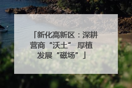 新化高新区：深耕营商“沃土” 厚植发展“磁场”