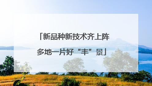 新品种新技术齐上阵 多地一片好“丰”景