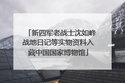 新四军老战士沈如峰战地日记等实物资料入藏中国国家博物馆