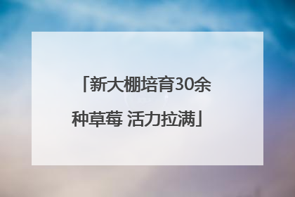 新大棚培育30余种草莓 活力拉满